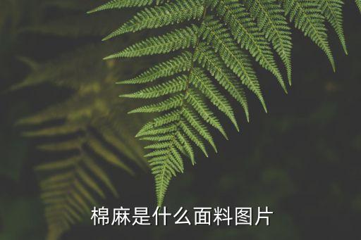 棉麻的紡織,棉麻紡織廠哪到工序最好