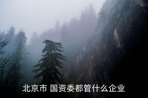 北京市 國(guó)資委都管什么企業(yè)
