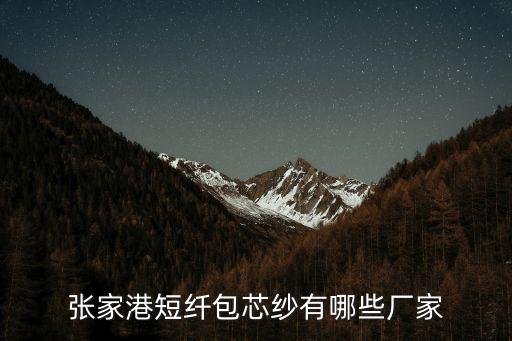 張家港短纖包芯紗有哪些廠家