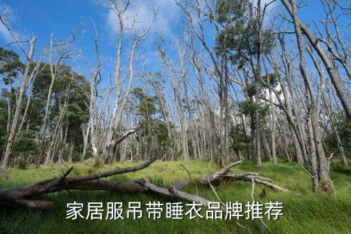 家居服吊帶睡衣品牌推薦