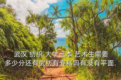  武漢 紡織 大學(xué)三本 藝術(shù)生需要多少分還有武紡有?？茊嵊袥]有平面...