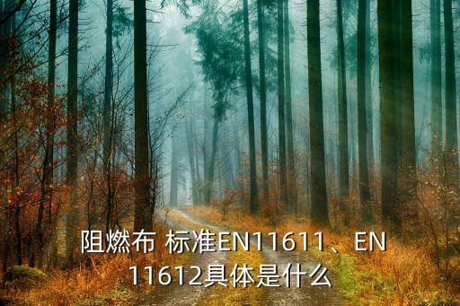  阻燃布 標準EN11611、EN11612具體是什么