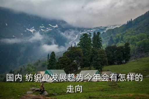 國內(nèi) 紡織業(yè)發(fā)展趨勢今年會有怎樣的走向