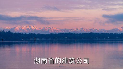 湖南省的建筑公司