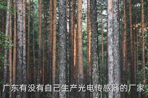 廣東有沒有自己生產(chǎn)光電傳感器的廠家