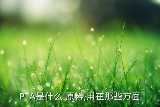 PTA是什么 原料,用在那些方面