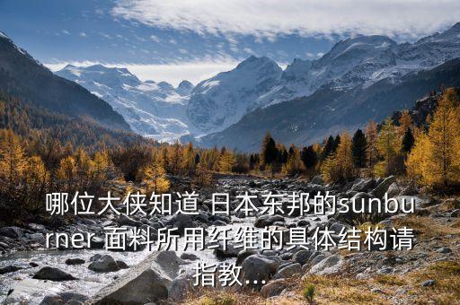 哪位大俠知道 日本東邦的sunburner 面料所用纖維的具體結(jié)構(gòu)請(qǐng)指教...