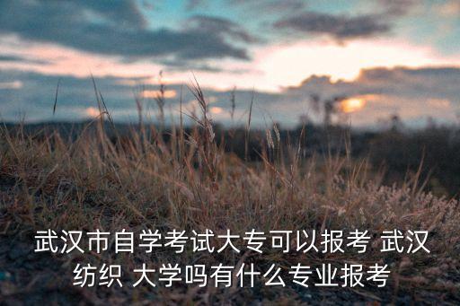  武漢市自學(xué)考試大?？梢詧罂?武漢 紡織 大學(xué)嗎有什么專業(yè)報考