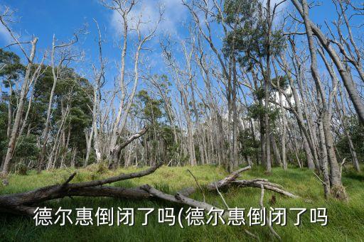 德爾惠倒閉了嗎(德爾惠倒閉了嗎