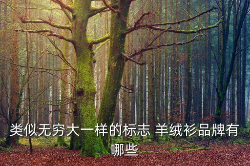 類似無窮大一樣的標志 羊絨衫品牌有哪些