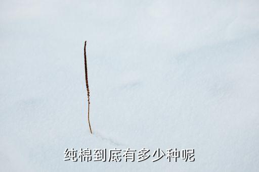 純棉到底有多少種呢