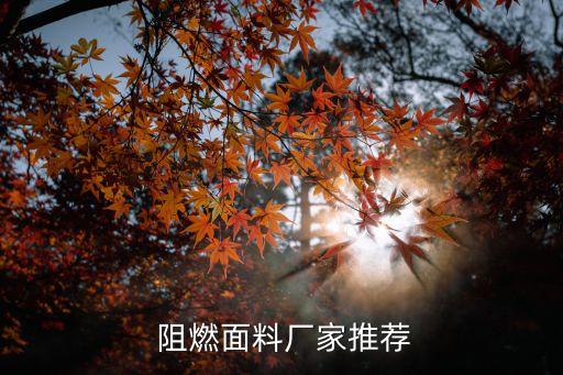  阻燃面料廠家推薦