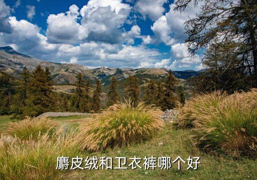 麝皮絨和衛(wèi)衣褲哪個好