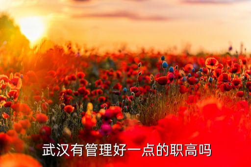  武漢有管理好一點(diǎn)的職高嗎