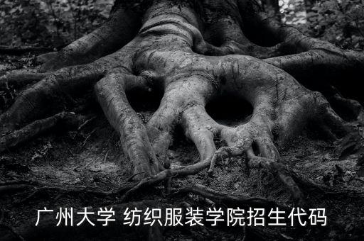 廣州大學(xué) 紡織服裝學(xué)院招生代碼