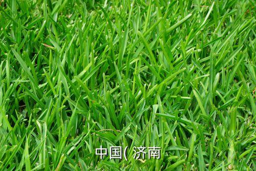 中國(guó)( 濟(jì)南