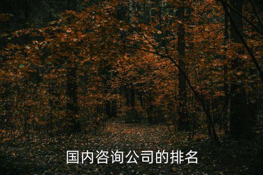 國內(nèi)咨詢公司的排名