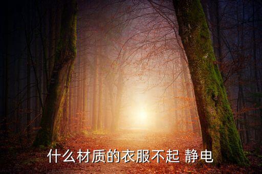 什么材質(zhì)的衣服不起 靜電