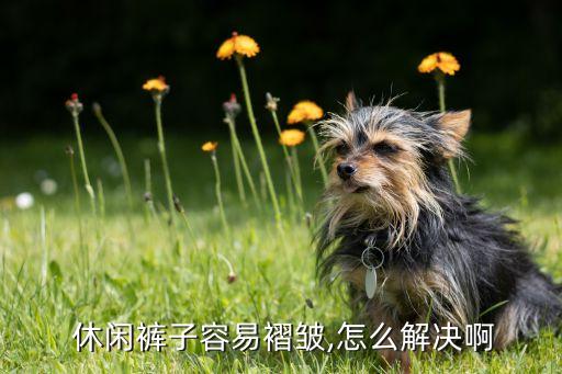  休閑褲子容易褶皺,怎么解決啊