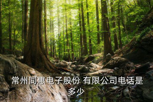  常州同惠電子股份 有限公司電話是多少