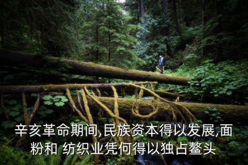 辛亥革命期間,民族資本得以發(fā)展,面粉和 紡織業(yè)憑何得以獨占鰲頭