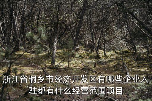 浙江省桐鄉(xiāng)市經(jīng)濟開發(fā)區(qū)有哪些企業(yè)入駐都有什么經(jīng)營范圍項目