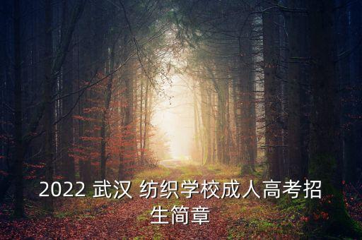2022 武漢 紡織學(xué)校成人高考招生簡(jiǎn)章