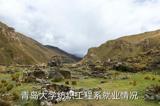 青島大學(xué)紡織工程系就業(yè)情況