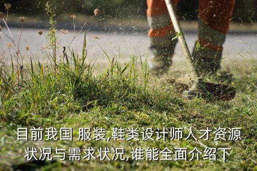 目前我國(guó) 服裝,鞋類(lèi)設(shè)計(jì)師人才資源狀況與需求狀況,誰(shuí)能全面介紹下