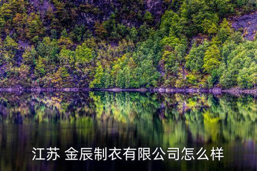 江蘇 金辰制衣有限公司怎么樣