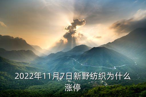 2022年11月7日新野紡織為什么漲停