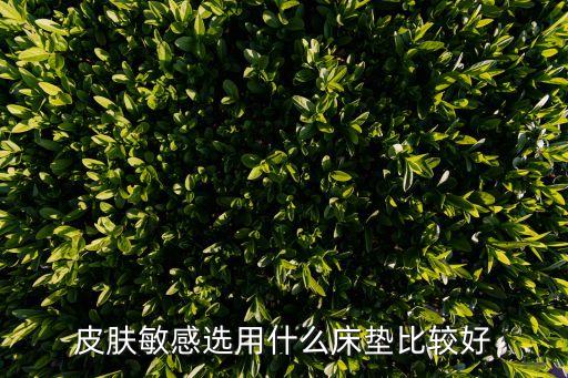 皮膚敏感選用什么床墊比較好