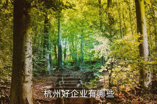  杭州好企業(yè)有哪些