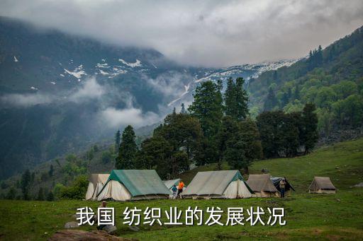 我國 紡織業(yè)的發(fā)展狀況