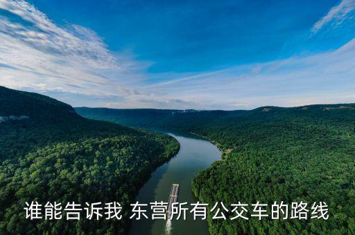 誰(shuí)能告訴我 東營(yíng)所有公交車(chē)的路線