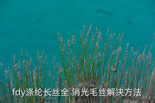 fdy滌綸長絲全 消光毛絲解決方法