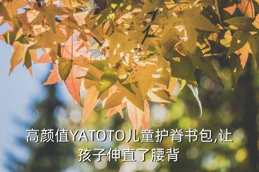 rpet背包面料,RPET面料的優(yōu)缺點(diǎn)
