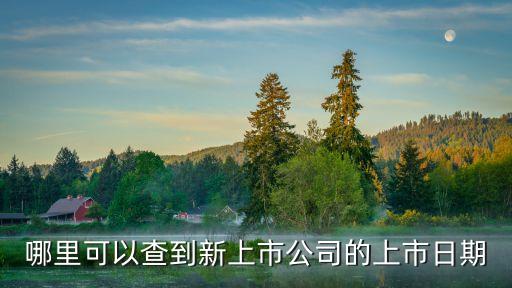 哪里可以查到新上市公司的上市日期