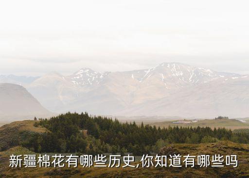 棉紡織業(yè)國(guó)家,元朝的棉紡織業(yè)中心
