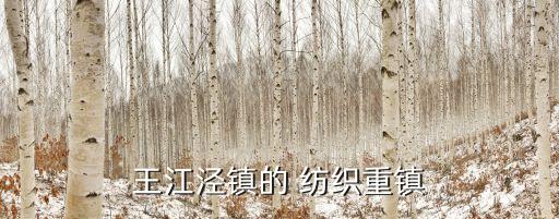 寧波祥日紡織有限公司,寧波宏大紡織儀器有限公司
