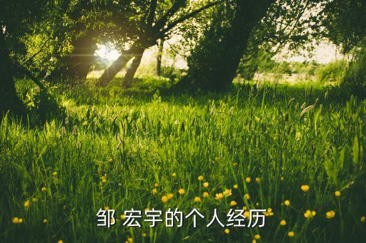 鄒 宏宇的個(gè)人經(jīng)歷