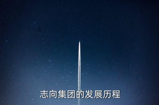 志向集團(tuán)的發(fā)展歷程