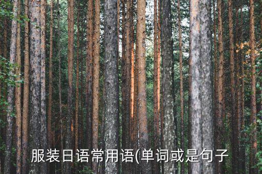 服裝日語常用語(單詞或是句子