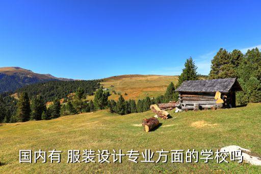 武漢紡織大學(xué)中日合作服裝設(shè)計(jì)