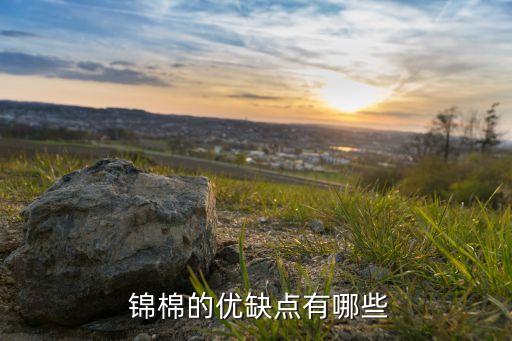 錦棉面料價(jià)格,錦棉是什么面料優(yōu)缺點(diǎn)