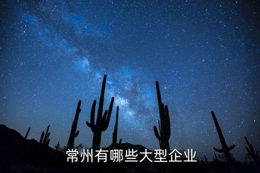  常州有哪些大型企業(yè)