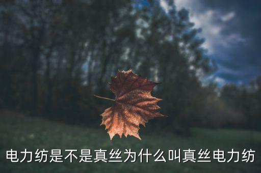 電力紡是不是真絲為什么叫真絲電力紡