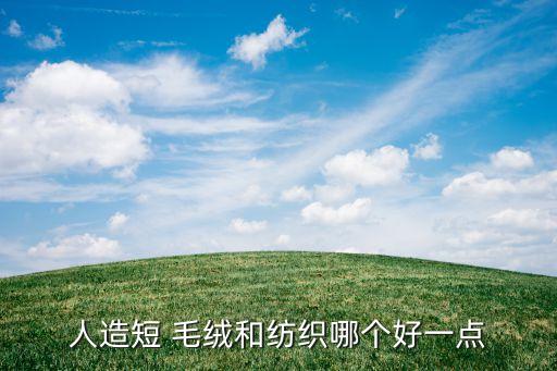 人造短 毛絨和紡織哪個好一點