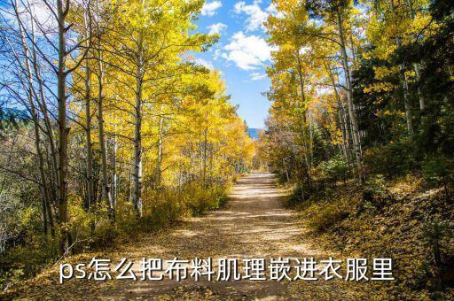 ps怎么把布料肌理嵌進(jìn)衣服里