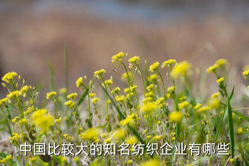 中國比較大的知名紡織企業(yè)有哪些